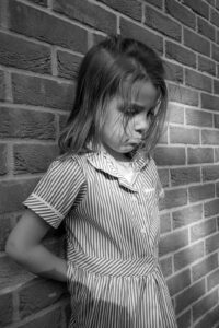 School sexual harassment and abuse liability - Expert Witness – Sexual