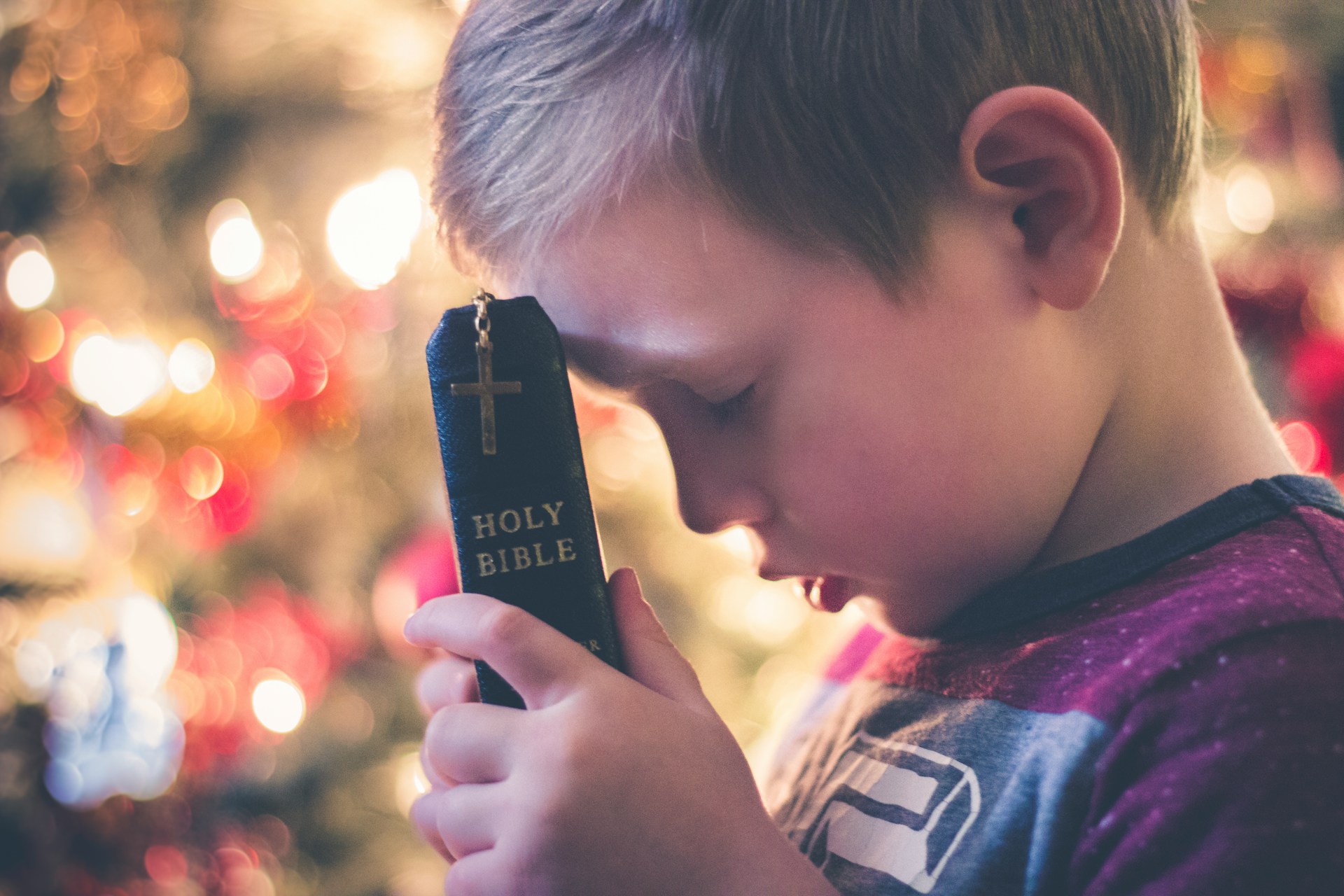 A young boy praying while holding a bible